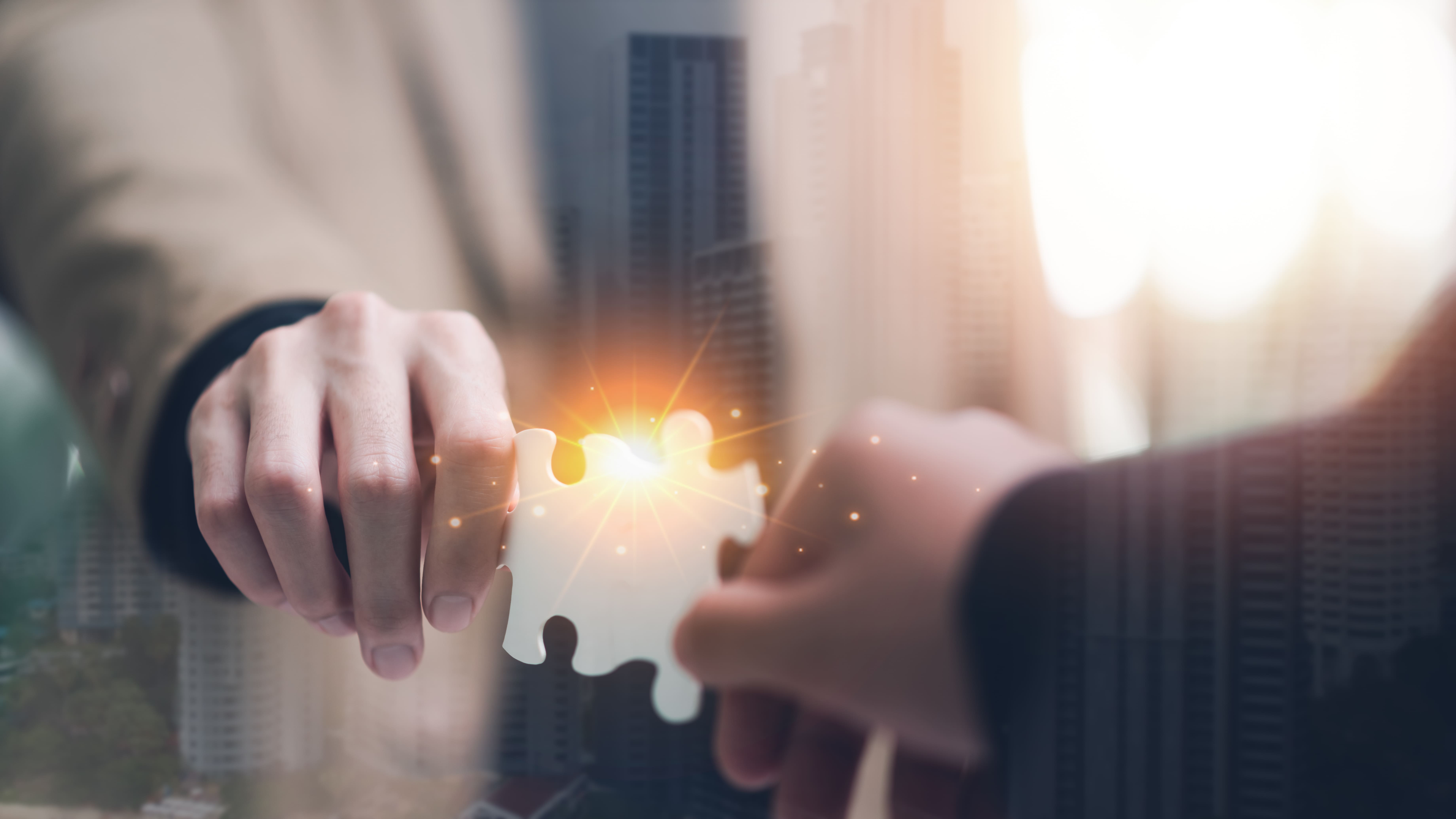 Navigating the AI Divide 